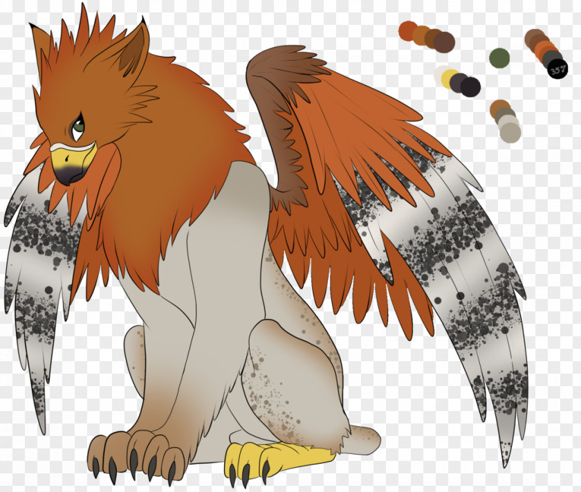 Owl Feather Beak Fauna PNG