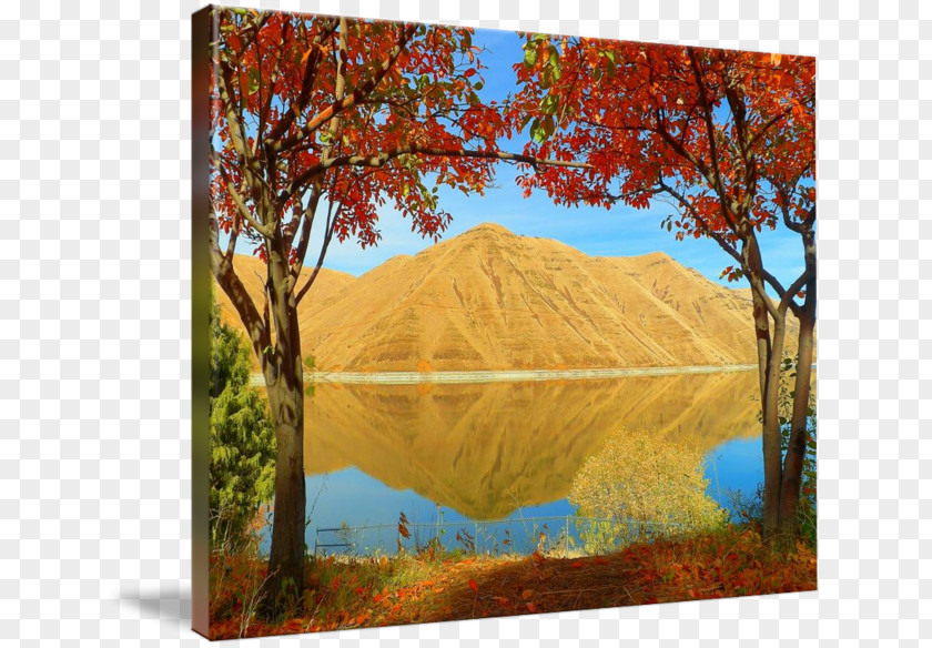 Painting Ecosystem Art Canvas Nature PNG