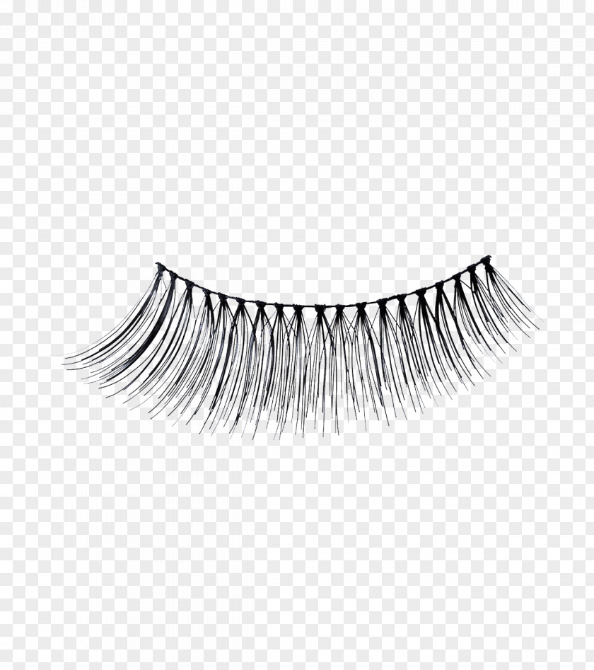 Eyelashes Eyelash Extensions Peggy Sage Mascara Cosmetics PNG