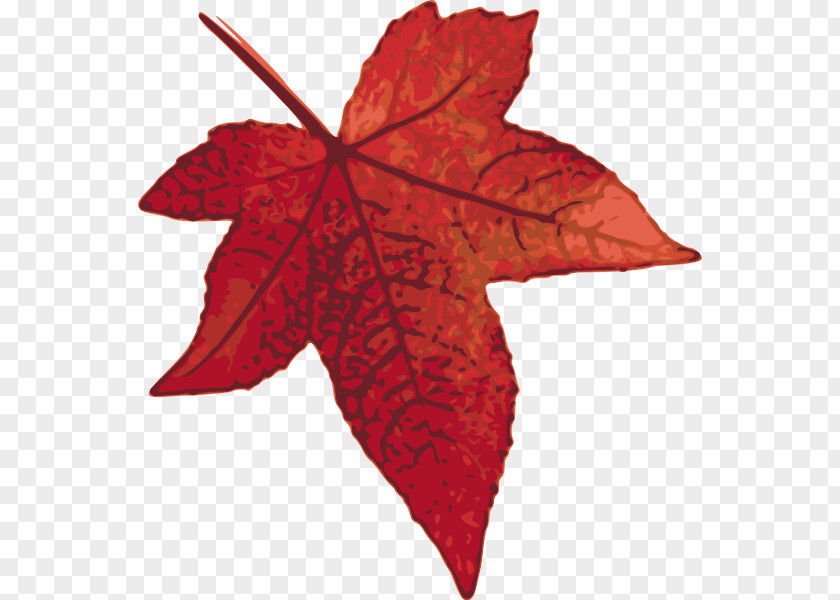 Maple Leaf Art Clip PNG