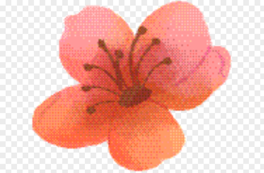 Peach Plant Pink Flower Cartoon PNG