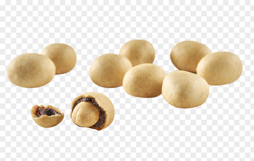 Praline Nut Macadamia Snack Joy Of Missing Out Chickpea PNG