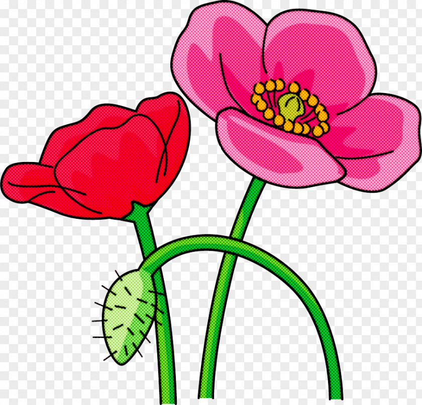 Red Poppy Flower PNG