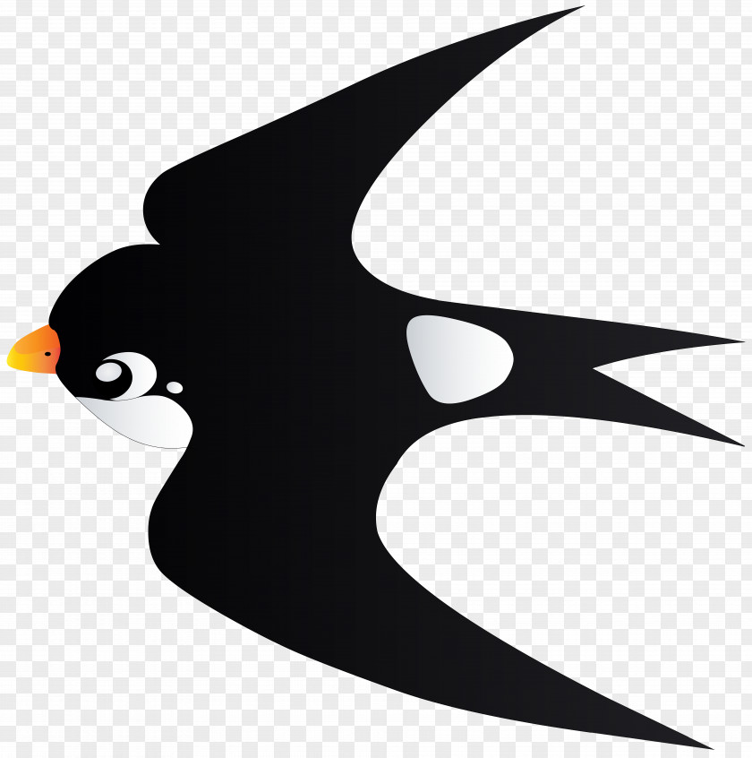 Swallow Bird Cartoon Transparent Image Penguin Clip Art PNG