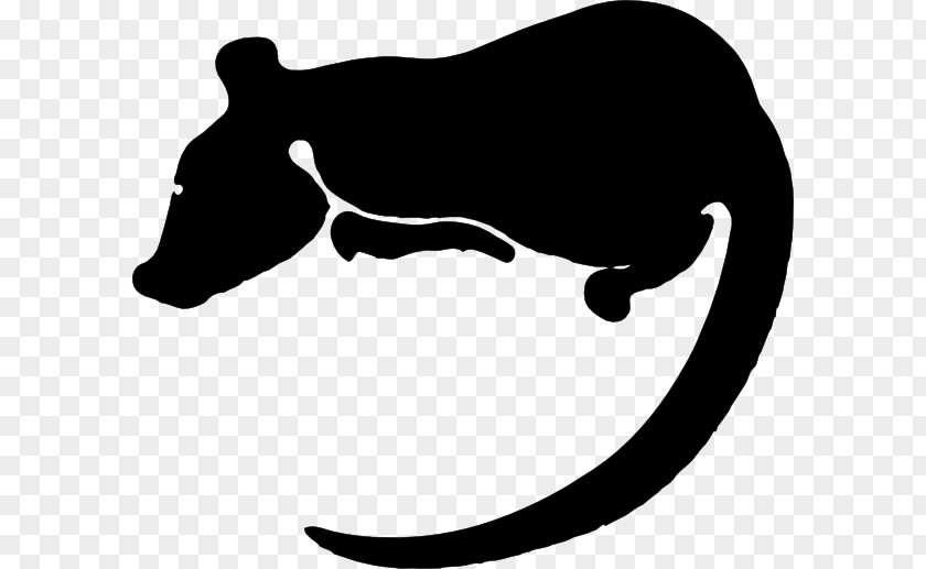 The Chinese Zodiac Laboratory Rat Rodent Clip Art PNG