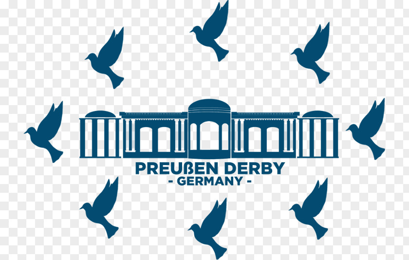 Amazing Race Season 3 Homing Pigeon Prussia Fancy Columbidae Derby PNG