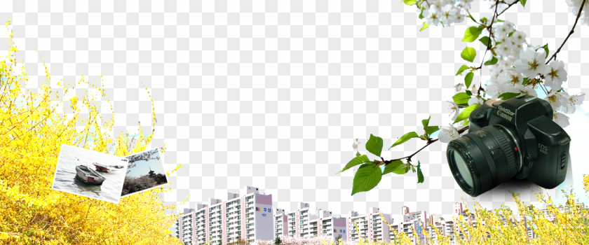 City ​​building Poster Camera PNG