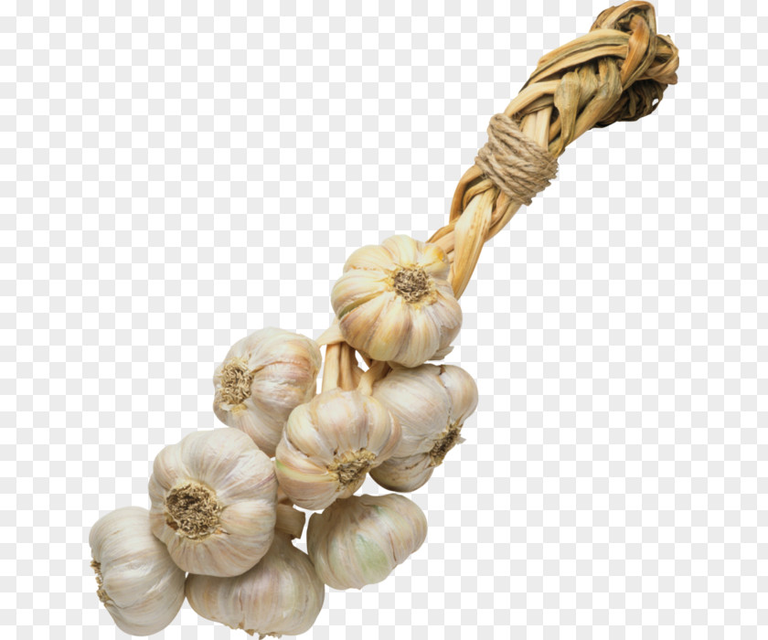 Garlic Ristra De Ajos Vegetable Spice PNG