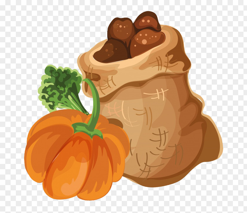 Cartoon Bag Pumpkin PNG