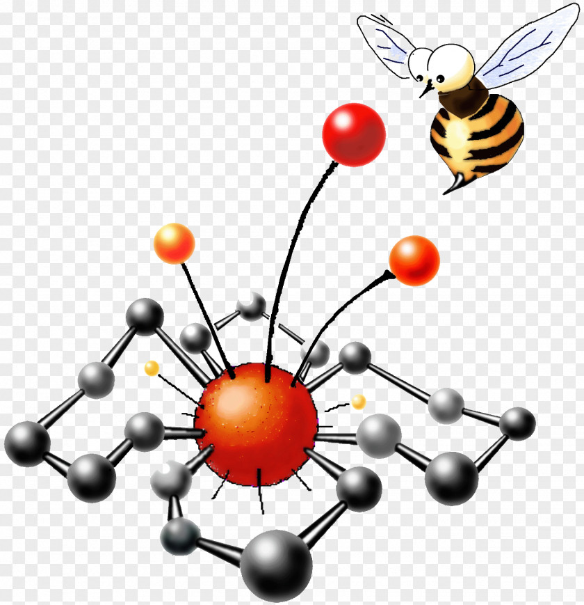 Chemistry Glassware Insect Organic Orange S.A. Clip Art PNG