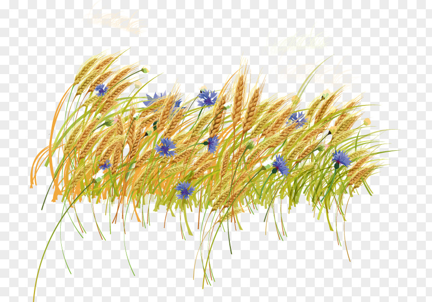 Decorative Golden Wheat And Purple Flowers Haystack Clip Art PNG