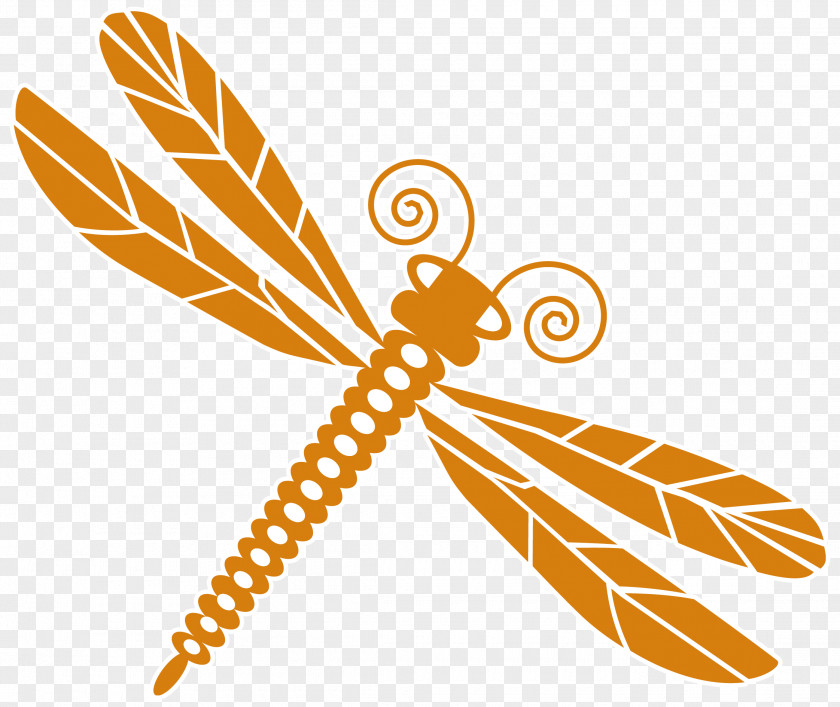 Dragonfly Chile Insect Clip Art PNG