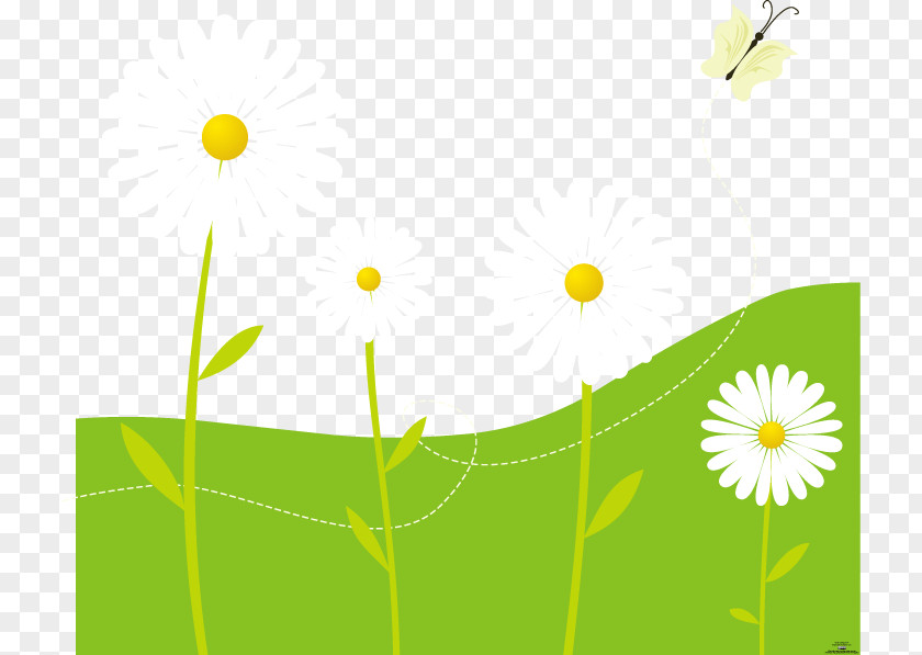 Flowers And Green Grass PNG