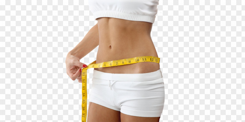 Health Weight Loss Dietary Supplement Adipose Tissue Abdominal Obesity Liposuction PNG