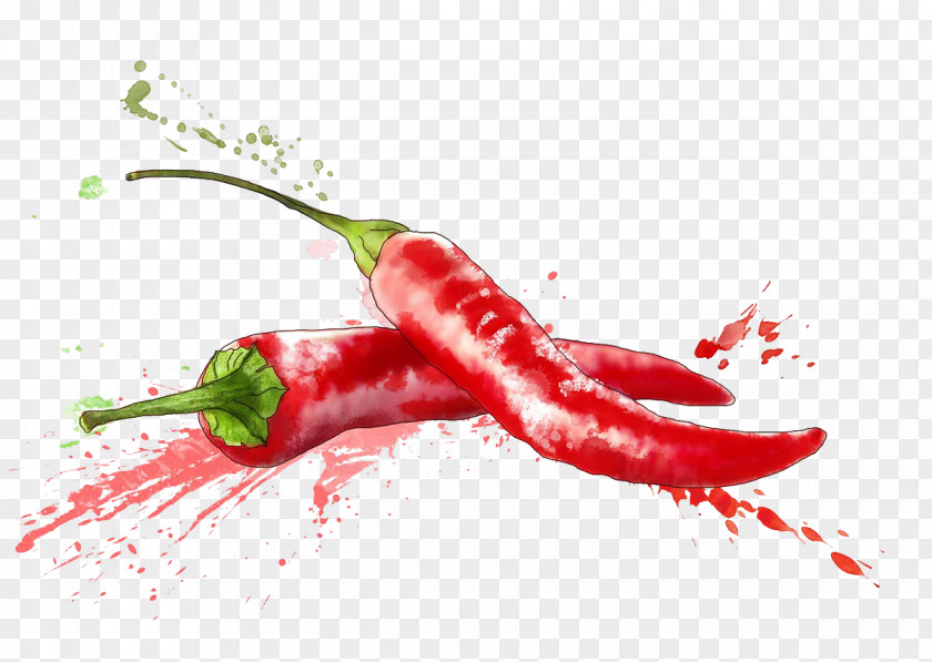 Painted Background Chili Peppers Chile De Xe1rbol Birds Eye Cayenne Pepper Tabasco PNG
