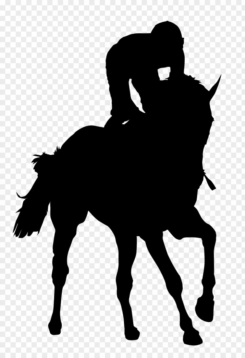 Silhouette Icelandic Horse Friesian Foal Clip Art PNG