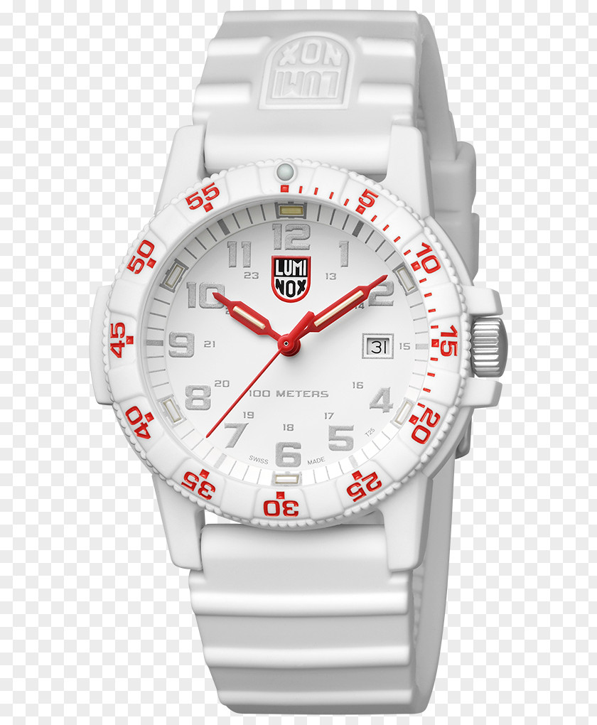 XS.0333 Luminox Sea Turtle Giant 0320 Series 0300 SeriesMassive Leatherback PNG