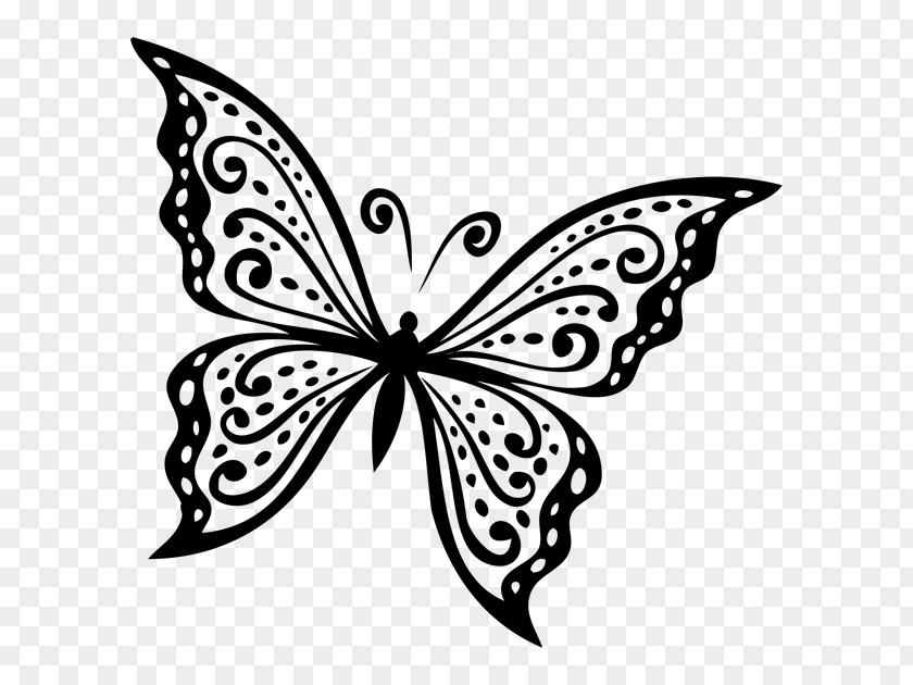 Butterfly Clip Art PNG