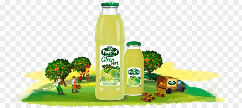 Citron Vert Glass Bottle Liqueur PNG