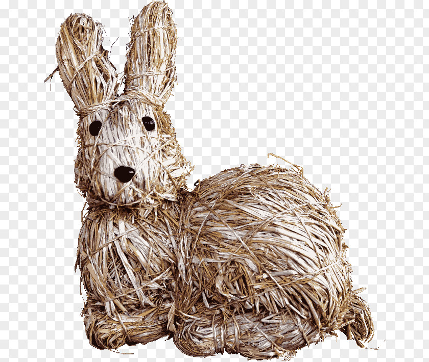 Frohe Ostern Easter Bunny Rabbit Hare PNG