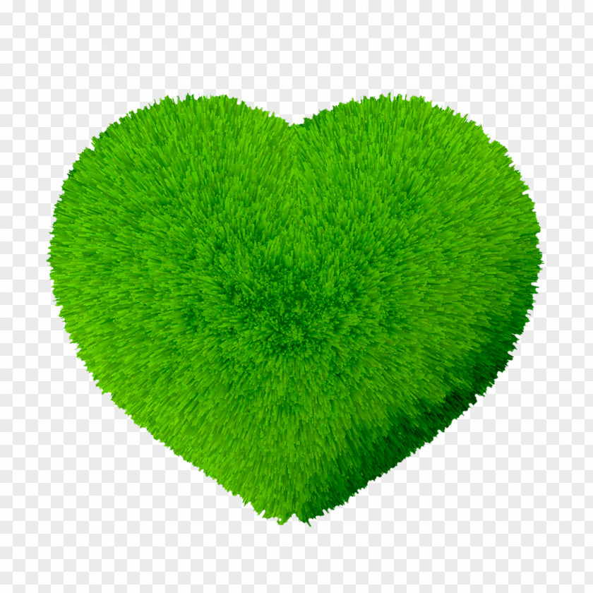 Heart-shaped Green PNG
