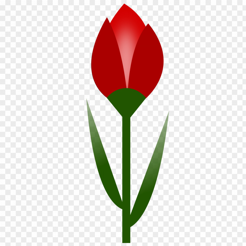 Tulip Flower Red Clip Art PNG