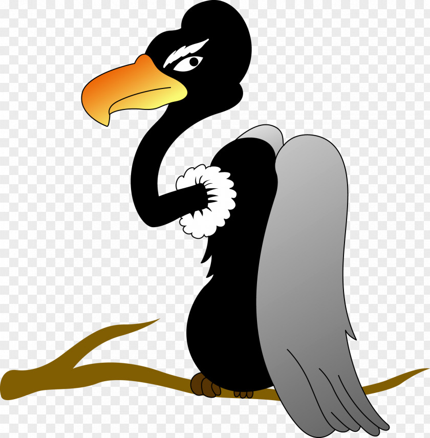 He Penguin Clip Art Beak Bird PNG