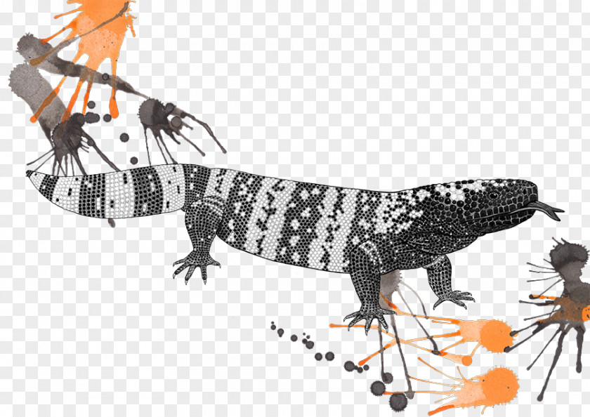 Lizard Gila Monster Exenatide Venom Eidechse PNG