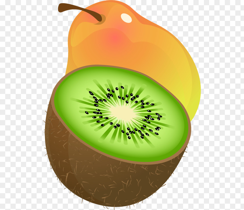 Pear Kiwi Vector Material Kiwifruit Clip Art PNG