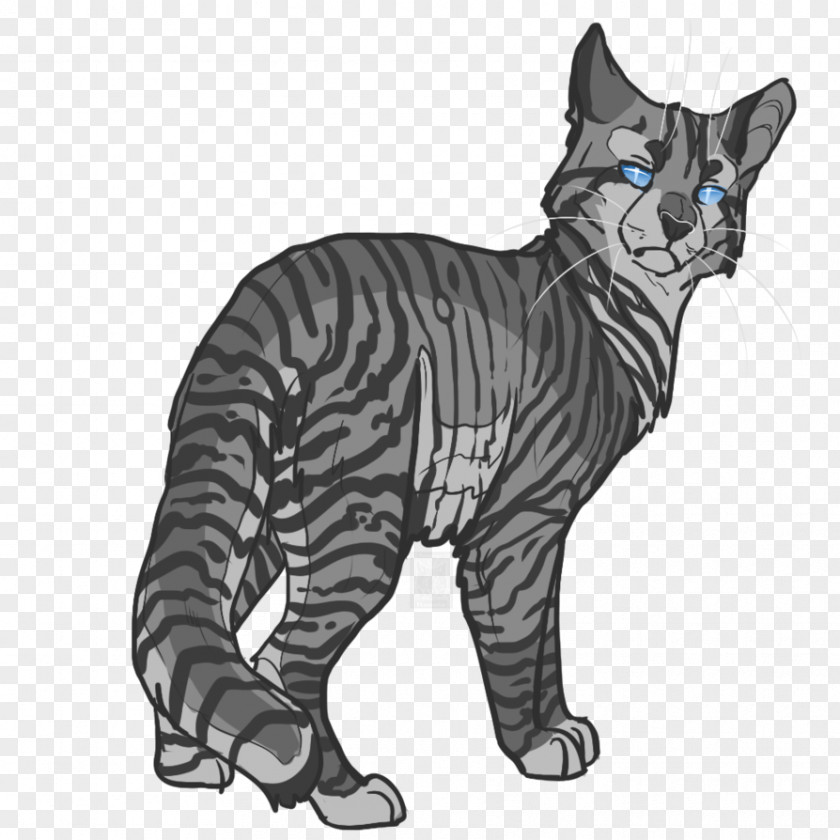 Tiger Toyger Manx Cat Whiskers Tabby PNG