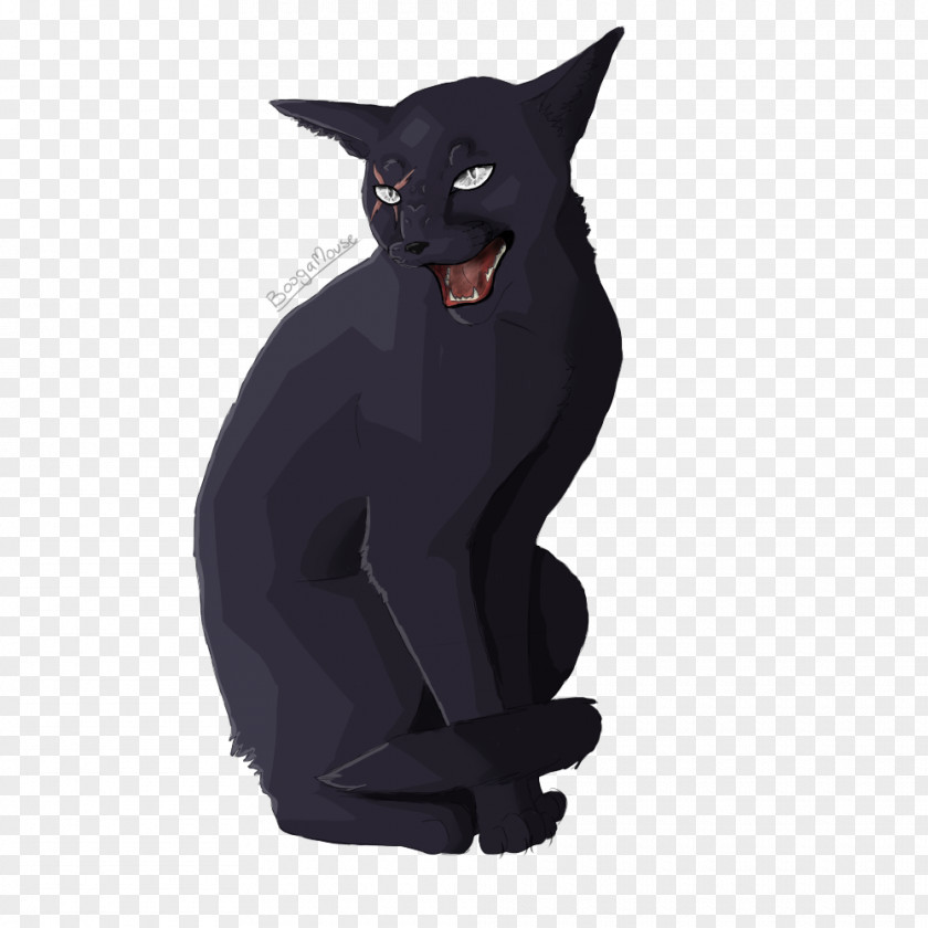 Cat Whiskers Snout Puma Character PNG
