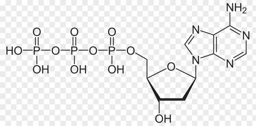 Consulier Gtp Nicotinamide Adenine Dinucleotide Phosphate Molecule Adenosine Triphosphate PNG