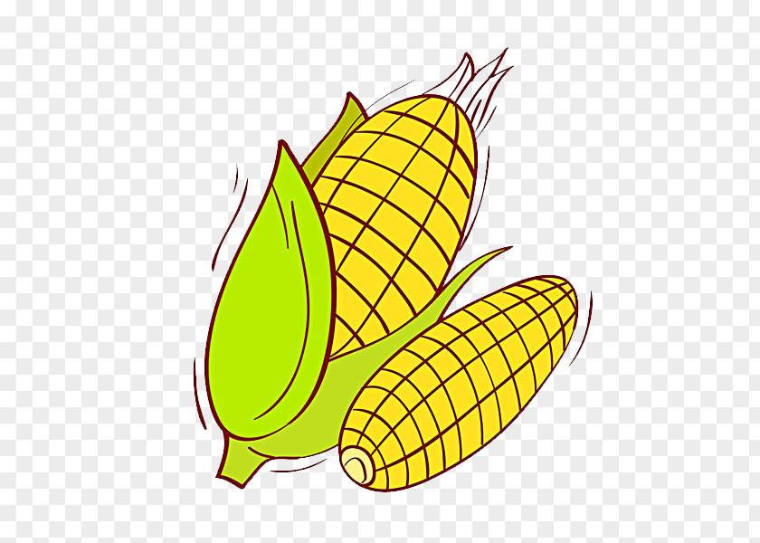 Corn On The Cob Maize Cartoon Illustration PNG