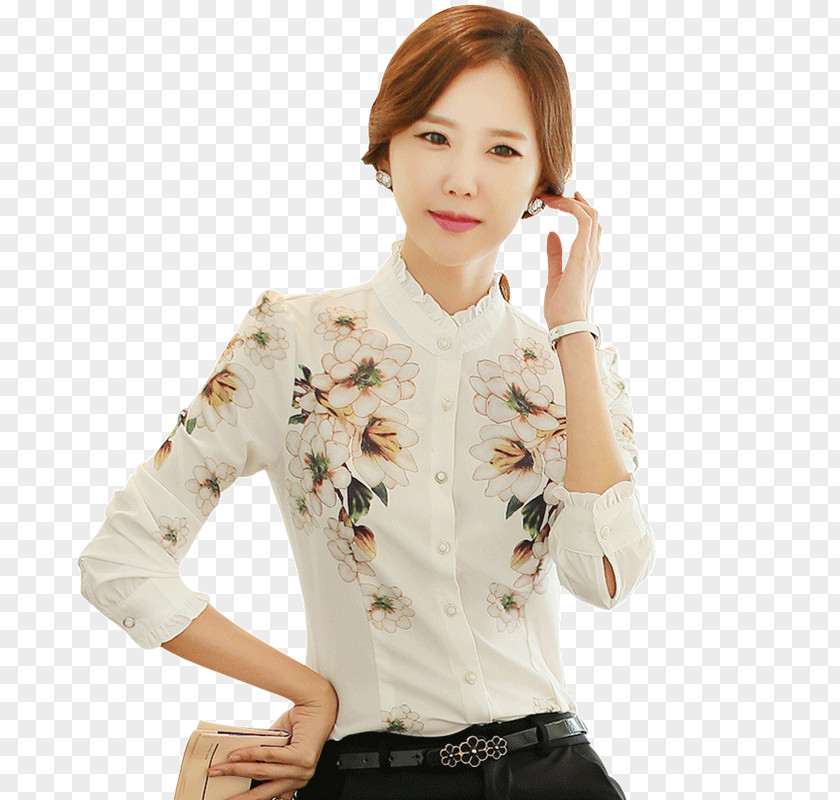 Micro Autumn And Winter Korean Female Fake Collar Blouse T-shirt Sleeve Dress Shirt PNG
