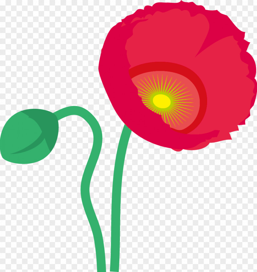 Poppy Flowering Plant Petal PNG