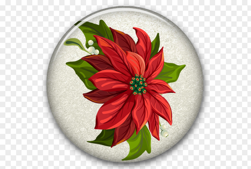 Water Droplets Fall On Flowers Poinsettia Christmas Wreath Clip Art PNG