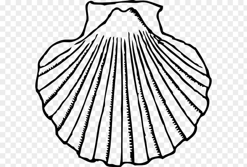 Clams Cliparts Clam Seashell Oyster Clip Art PNG