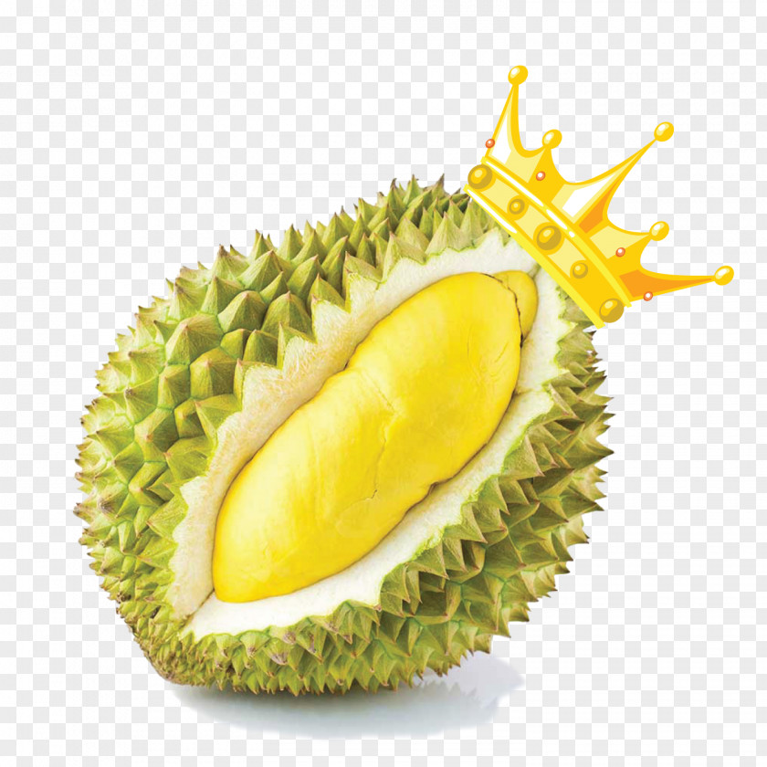 Durian Durio Zibethinus Thai Cuisine Fruit Food Snack PNG