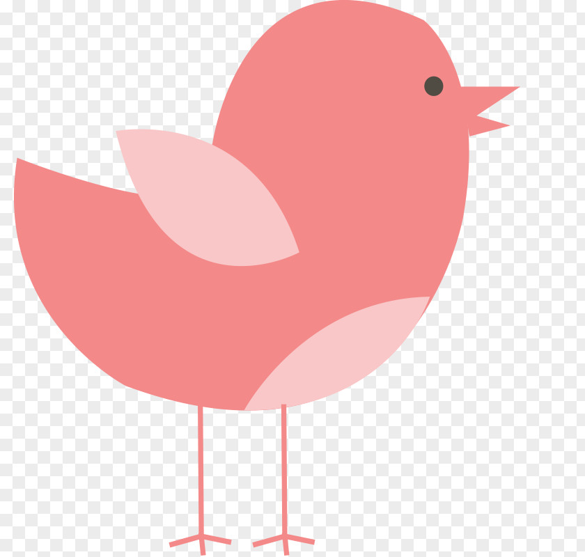 Flat,Irregular Graphics Combination,lovely,Cartoon,child Bird Clip Art PNG