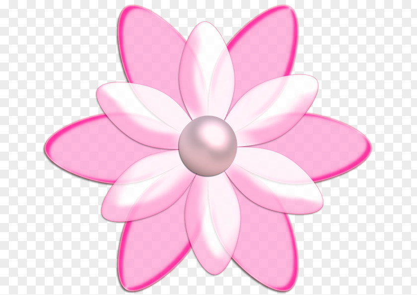 Flower Petal Information Clip Art PNG