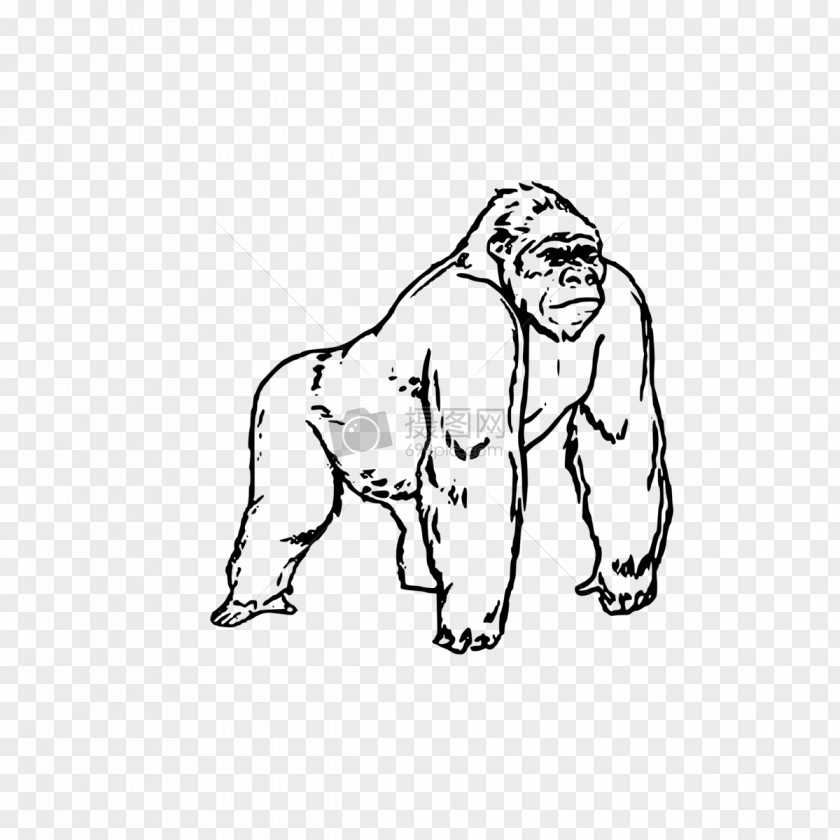 Gorilla Coloring Book Colouring Pages Image Child PNG