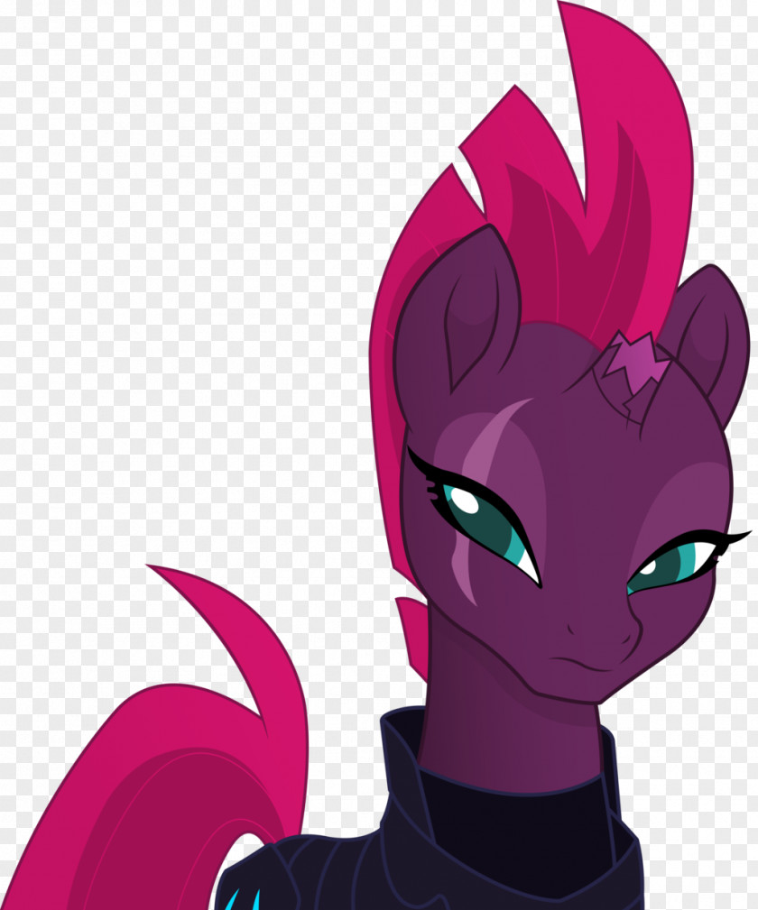 My Little Pony Tempest Shadow Rarity Derpy Hooves PNG