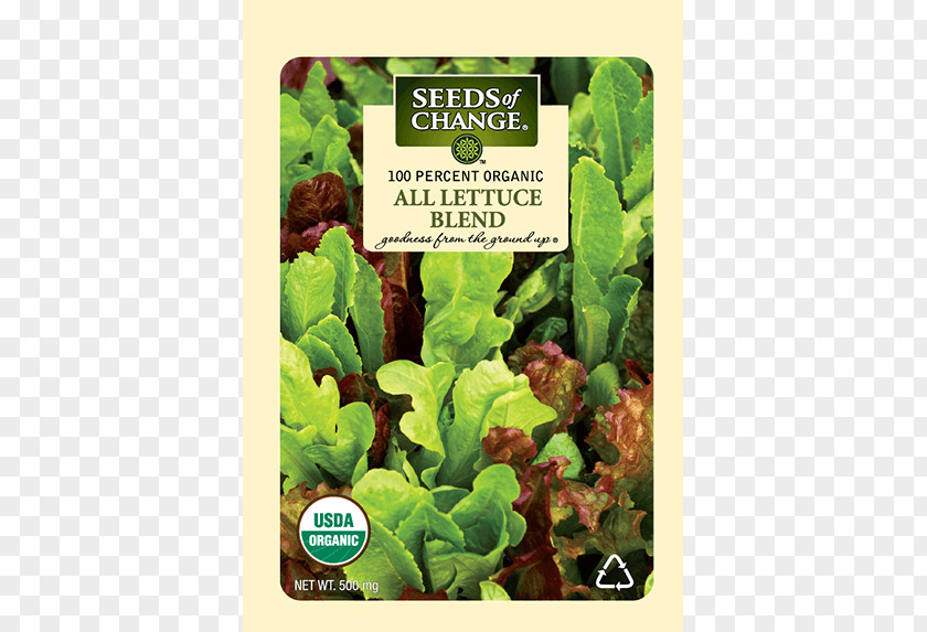 Romaine Lettuce Organic Food Seeds Of Change PNG