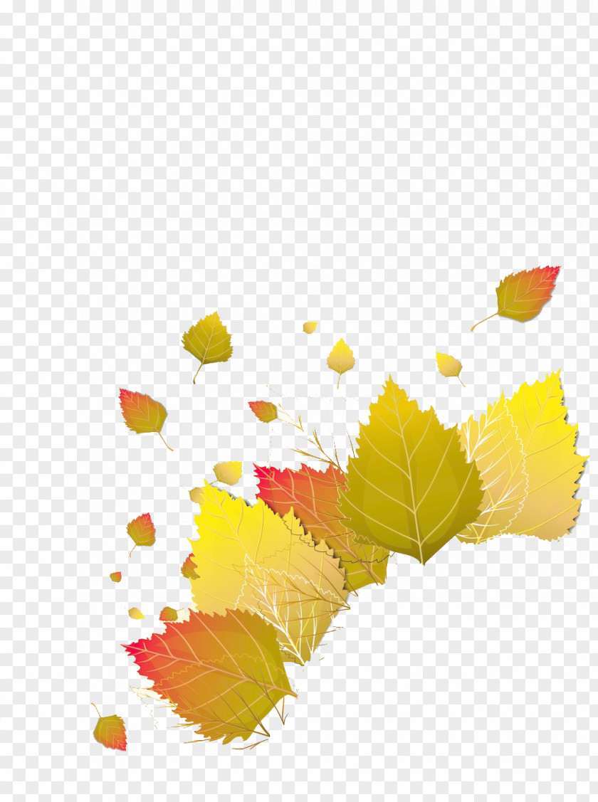 Maple Leaf Red Yellow PNG