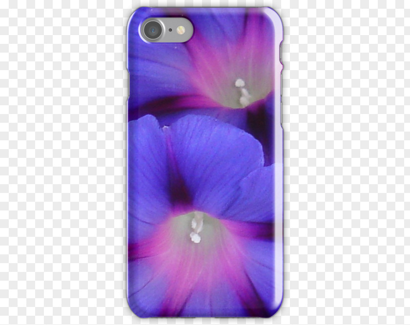 Morning Glory Pansy Violet Pink Thin-shell Structure Petal PNG