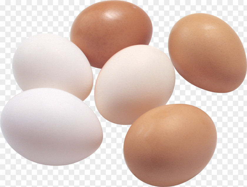 White Egg Fried Deviled PNG