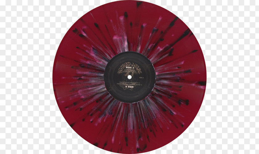 Buckethead Show Phonograph Record Original Sun Sound Nature Color Vae Victis PNG