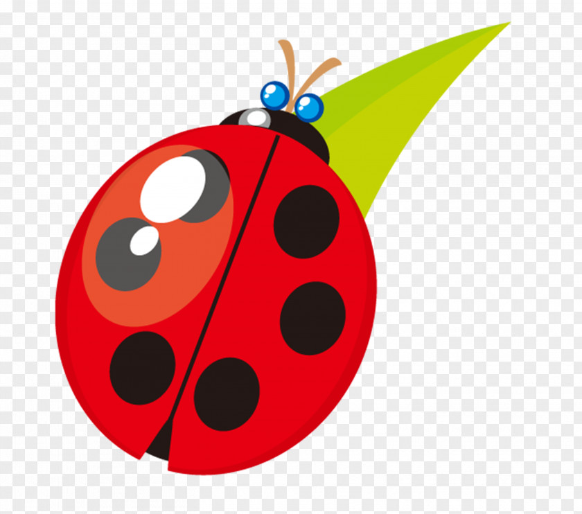 Cartoon Ladybug Ladybird Coccinella Septempunctata PNG