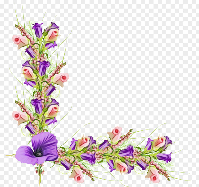 Delphinium Hyssopus Watercolor Flowers PNG
