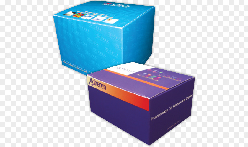 Design Carton PNG